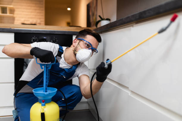 Best Bed Bug Extermination  in St James, NC