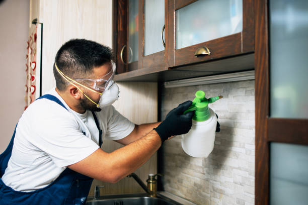 Best Rat Extermination Near Me  in St James, NC