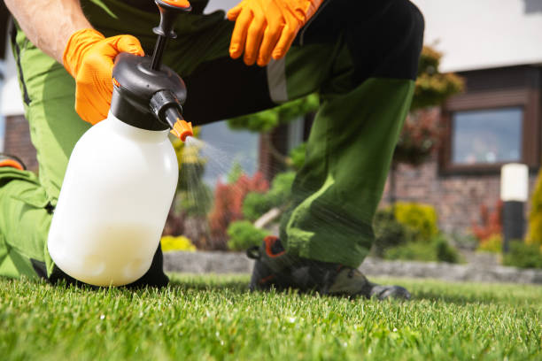 Best Rat Extermination Near Me  in St James, NC