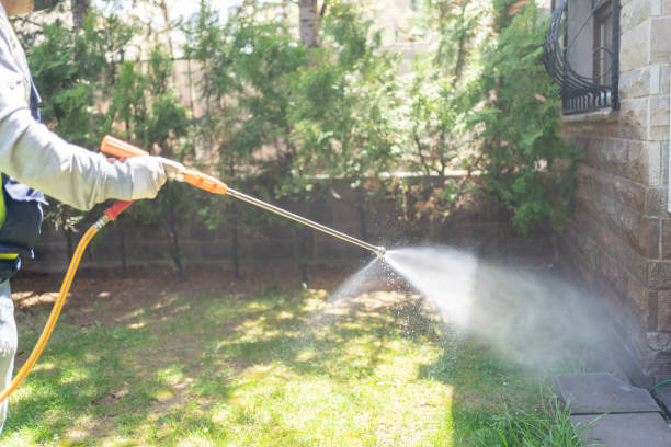 Best Local Pest Control Services  in St James, NC