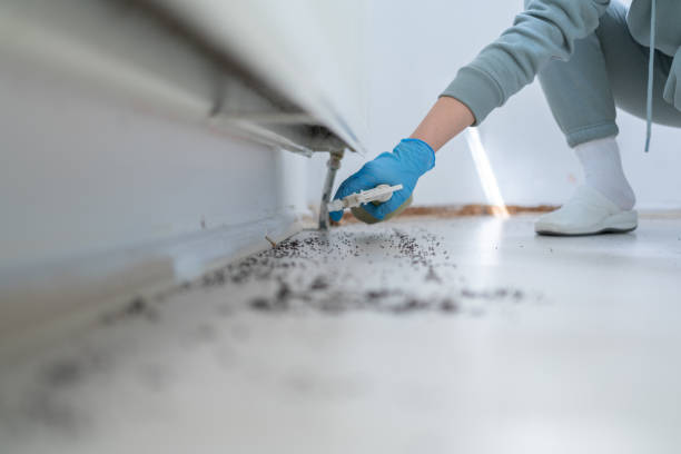 St James, NC Pest Control Company